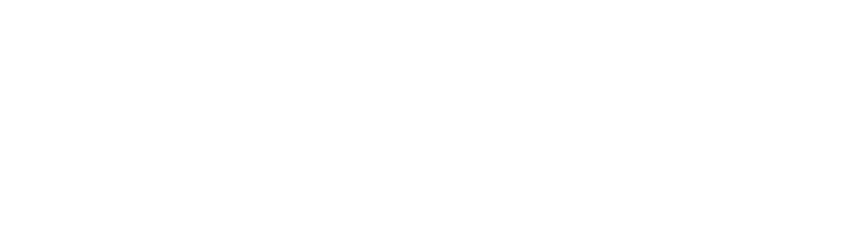 Financiado por la unión europea logo